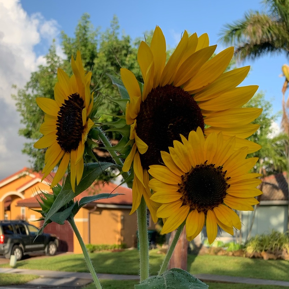 Meet your Posher, Chelle